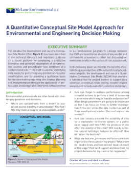 Image depicting a paper about Quantitative Conceptual Site Models
